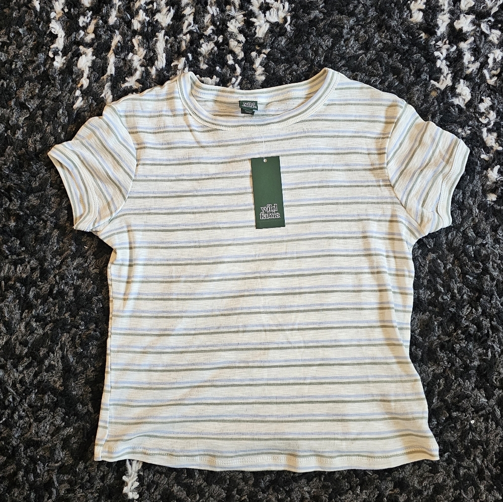 Wild Fable Striped Baby Tee.